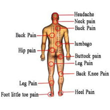 Load image into Gallery viewer, Capsicum Plaster Patch Pain Relief Extra Large 12x18cm 6 pcs (i)